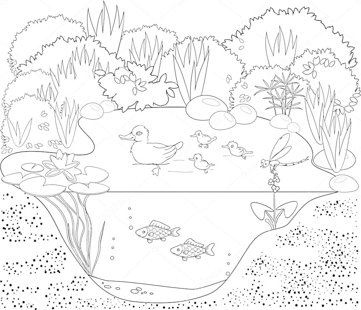 На раскраске изображено: Пруд, Утка, Рыба, Растения, Камни, Водоем, Природа, Листья, Водоросли, Кусты