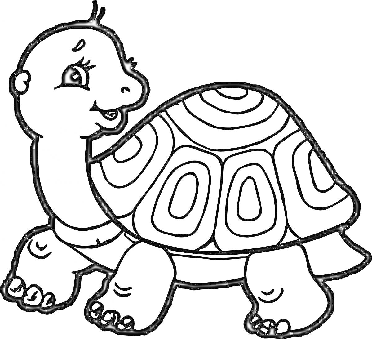 Раскраска Черепаха с узором на панцире и улыбающимся лицом