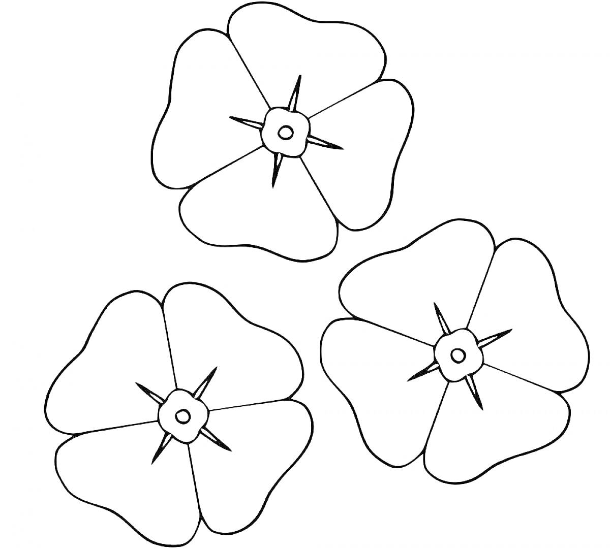 На раскраске изображено: Мак, Три цветка, Цветы, Контурные рисунки