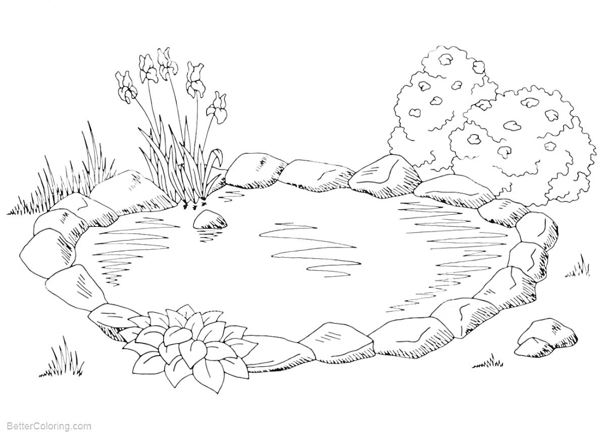Раскраска Озеро с каменистым берегом, цветами и кустарником