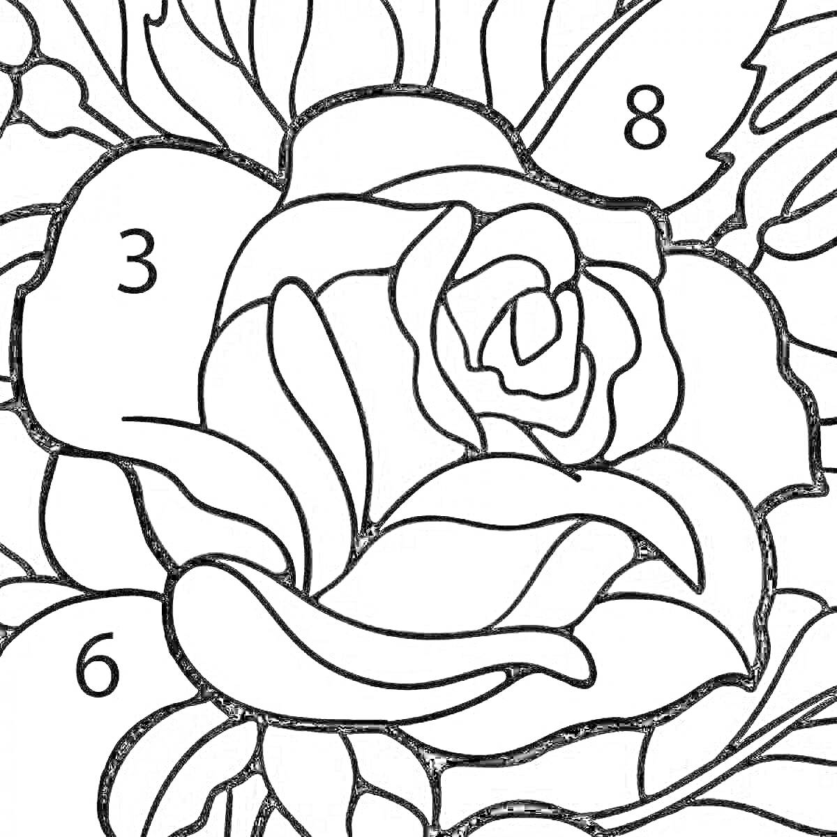 Раскраска Роза с обозначениями для раскрашивания