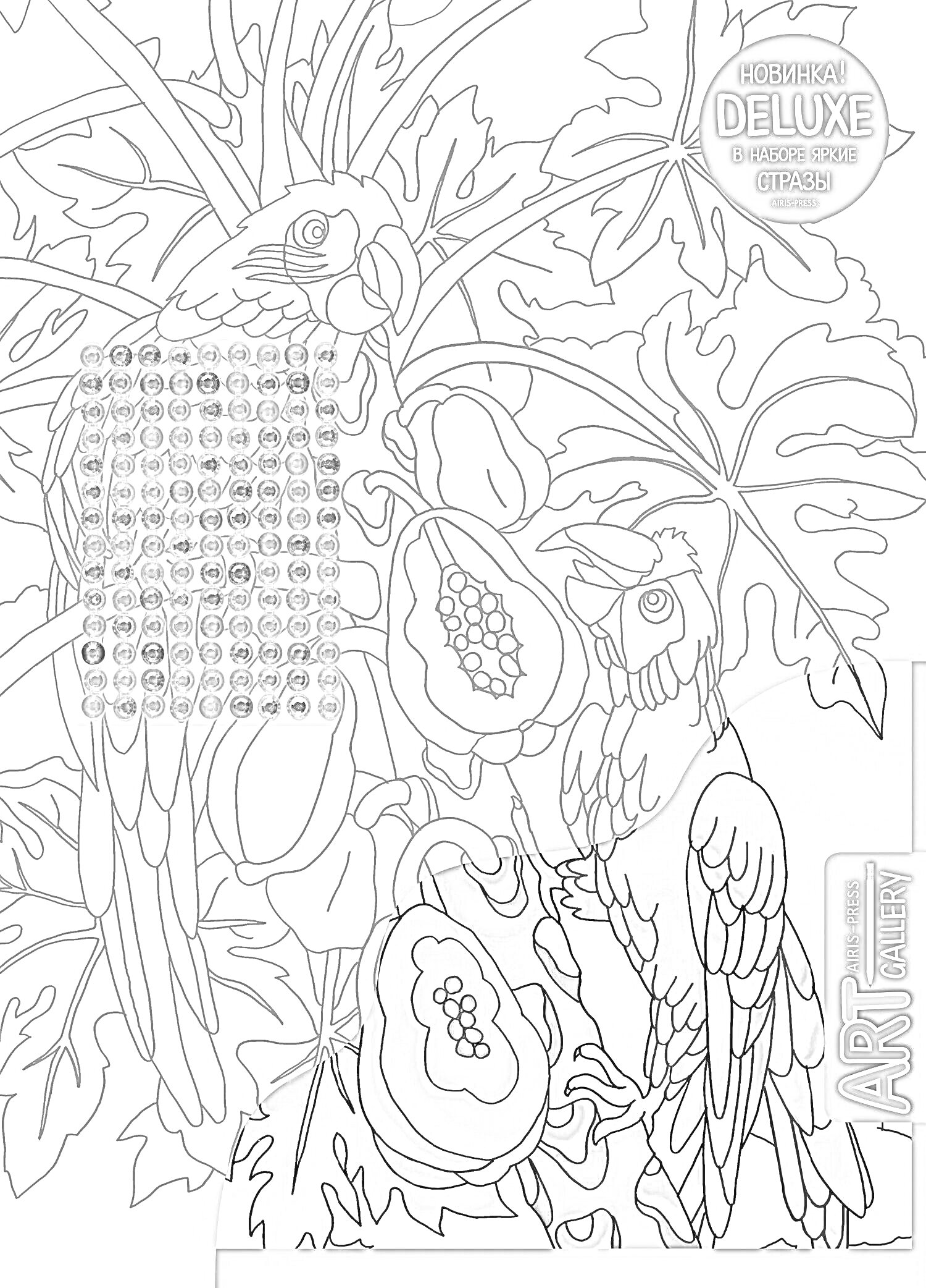 На раскраске изображено: Попугаи, Листья, Творчество, Цветы, Животные