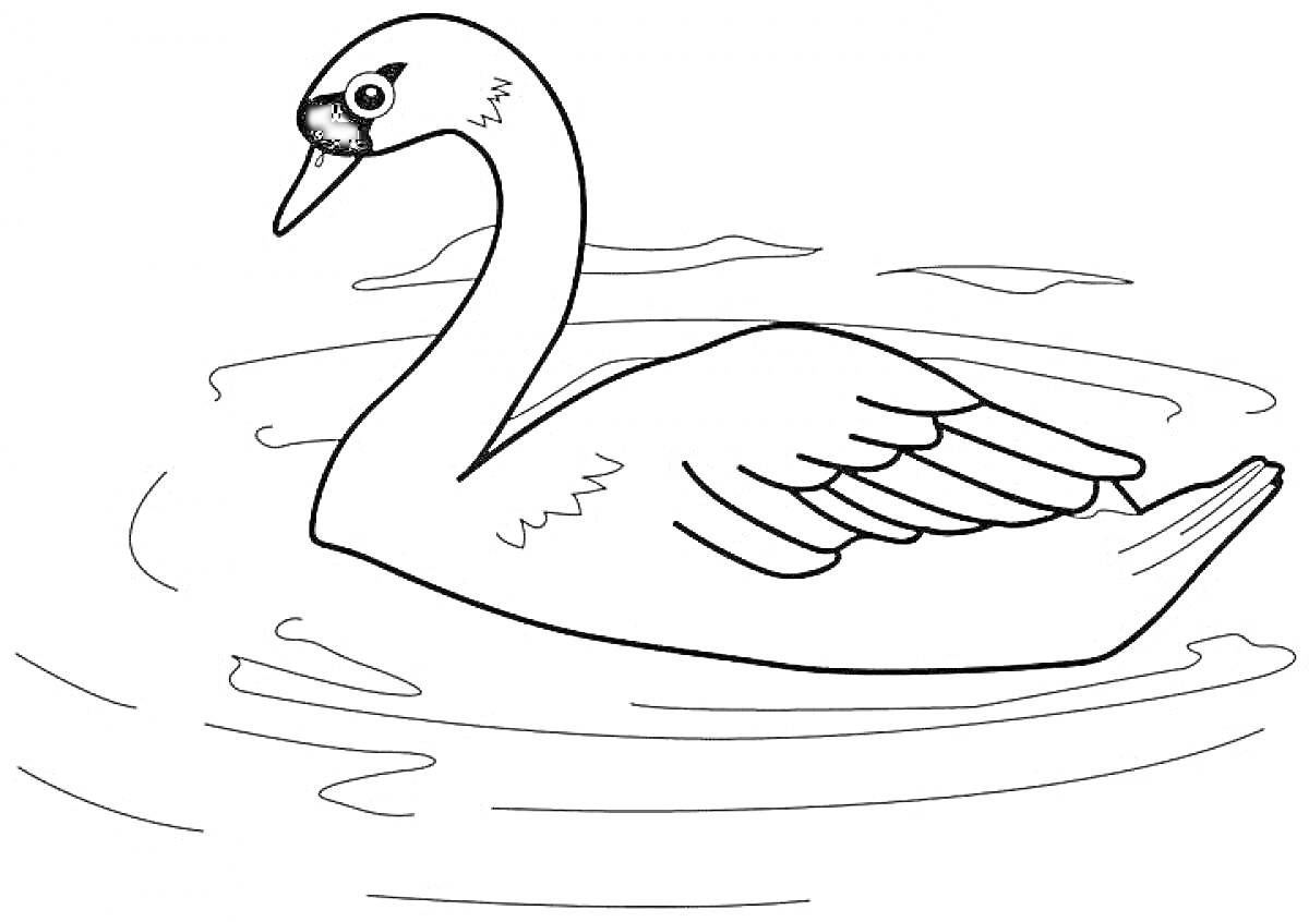 На раскраске изображено: Лебедь, Вода, Плавание, Птица, Природа, Для детей