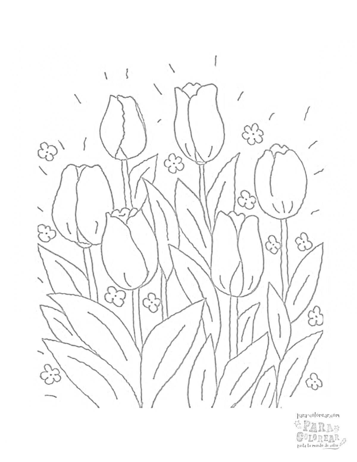 На раскраске изображено: 8 марта, Тюльпаны, Цветы, Весна, Мелкие цветы