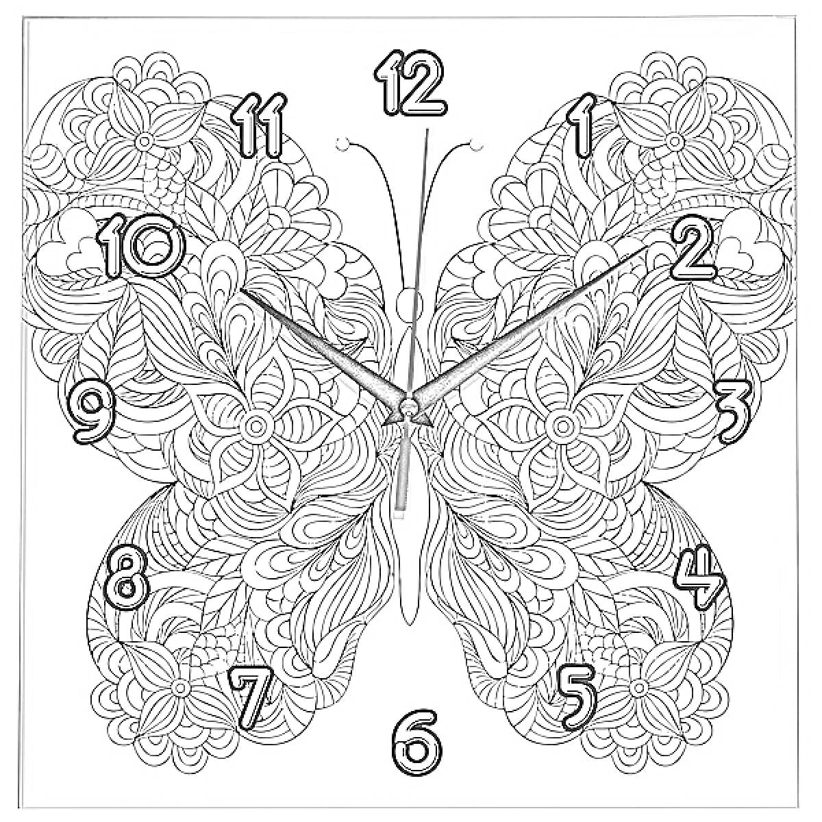На раскраске изображено: Бабочка, Цветочный узор, Часы, Цифры, Крылья, Контурные рисунки