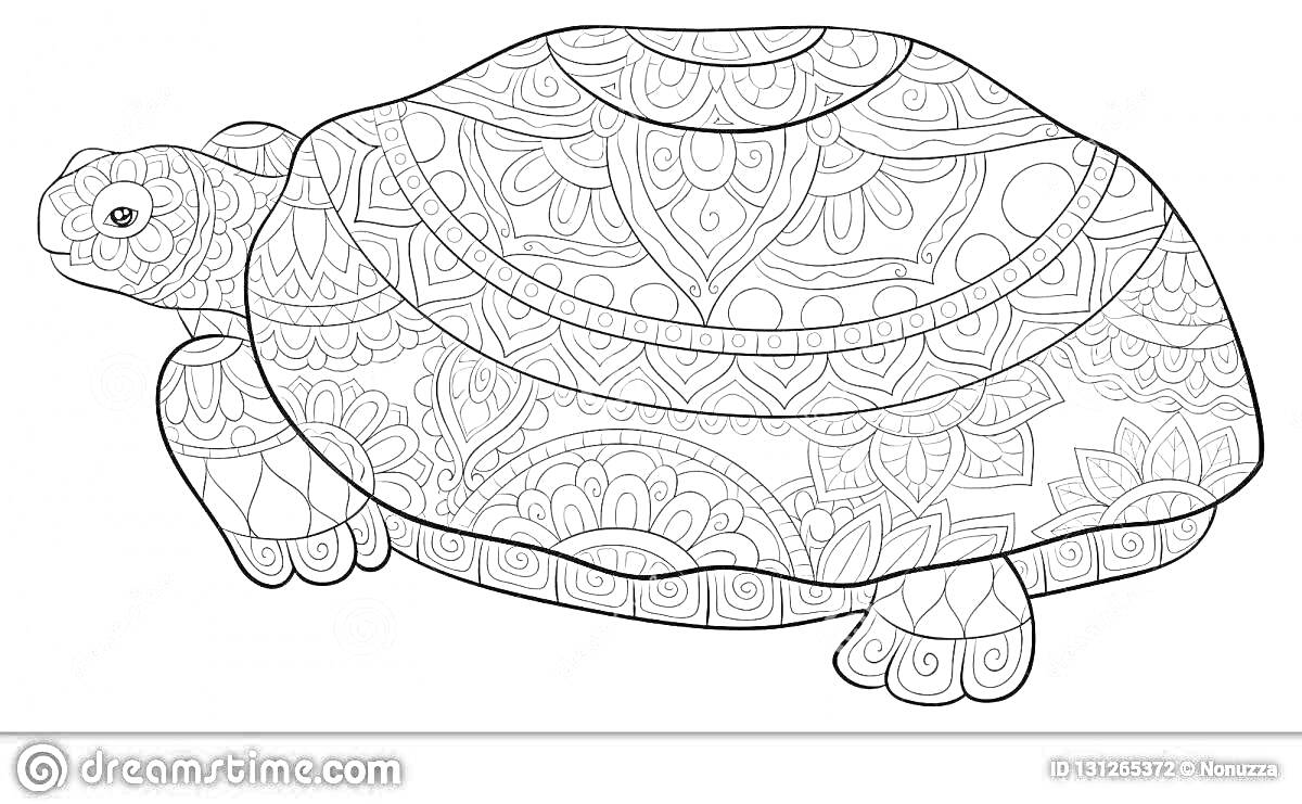 Раскраска Антистресс раскраска с черепахой, покрытой узорами в виде цветов и геометрических фигур