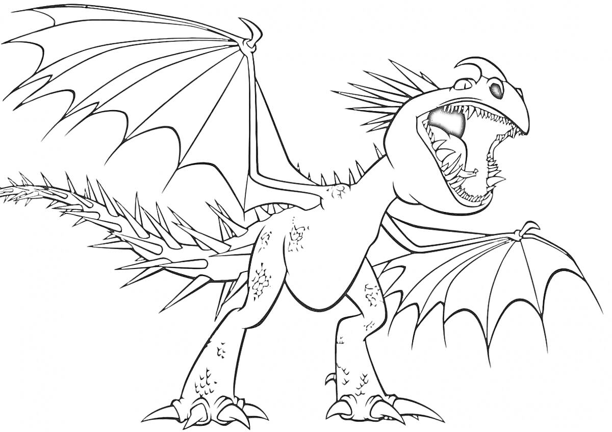 Раскраска Дракон с раскрытыми крыльями и открытой пастью, показывающий зубы