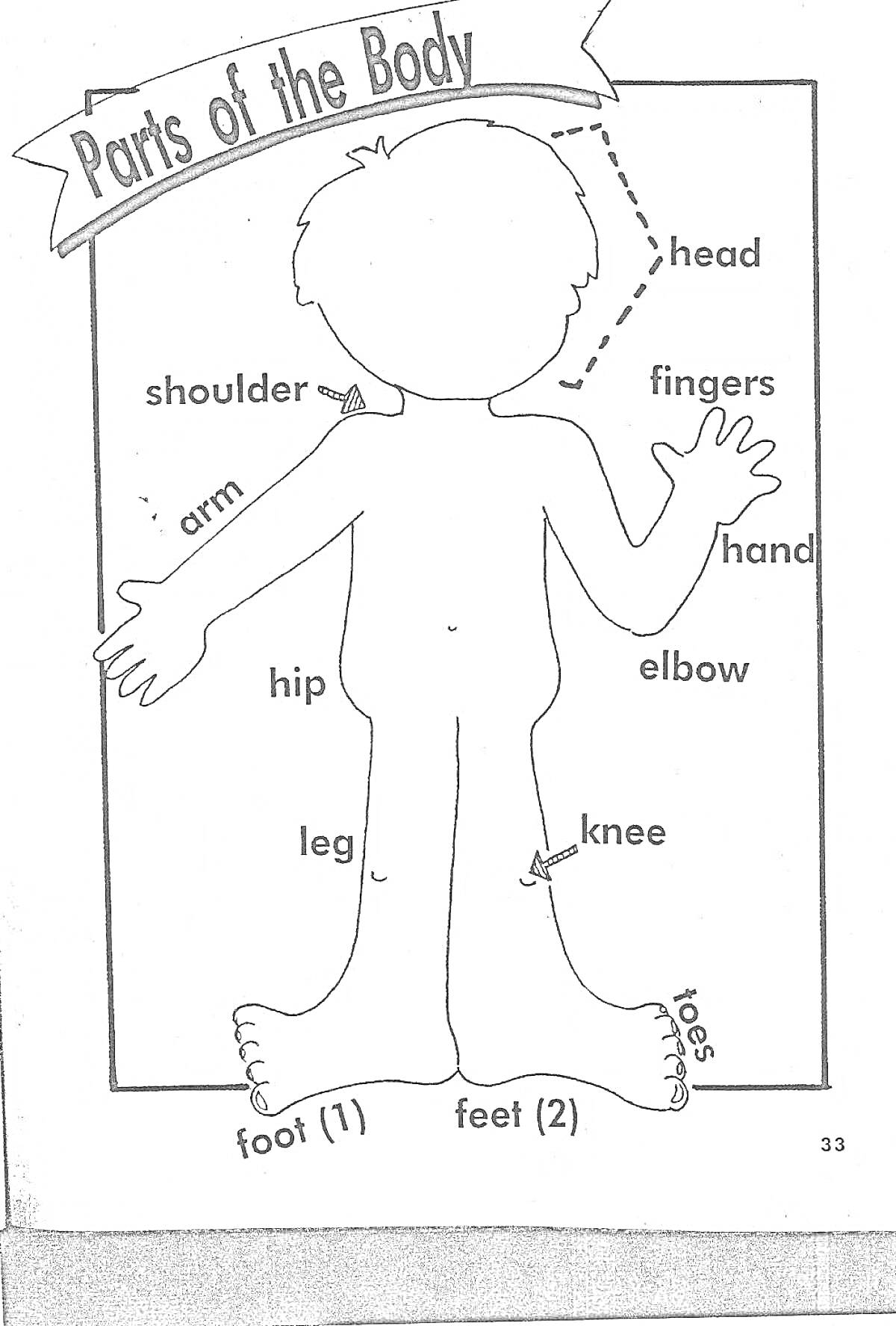 Раскраска Части тела на английском для детей (head, shoulder, arm, hip, leg, foot, feet, fingers, hand, elbow, knee, toes)