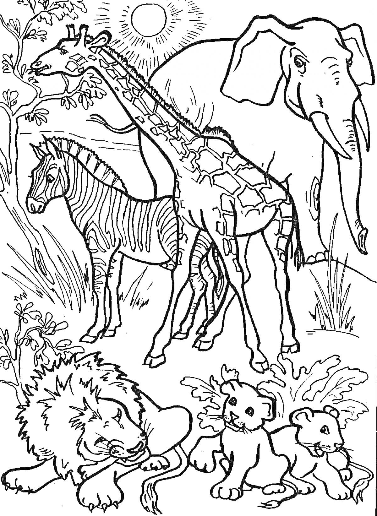 На раскраске изображено: Дикие животные, Дети 7 лет, Лев, Слон, Природа, Для детей