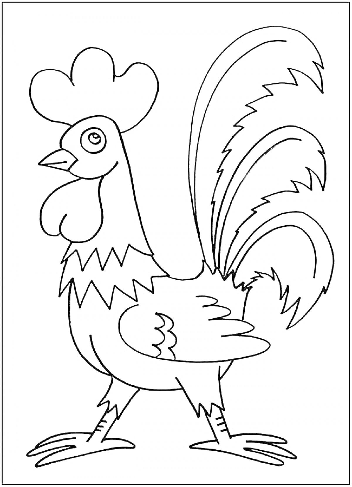 Раскраска Петушок с крупным гребнем, пёстрым хвостом и пышной шеей