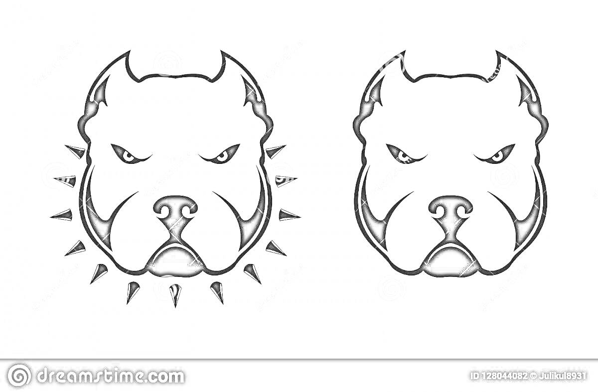 Раскраска Два изображения головы американского булли, одно с ошейником-шипами, другое без