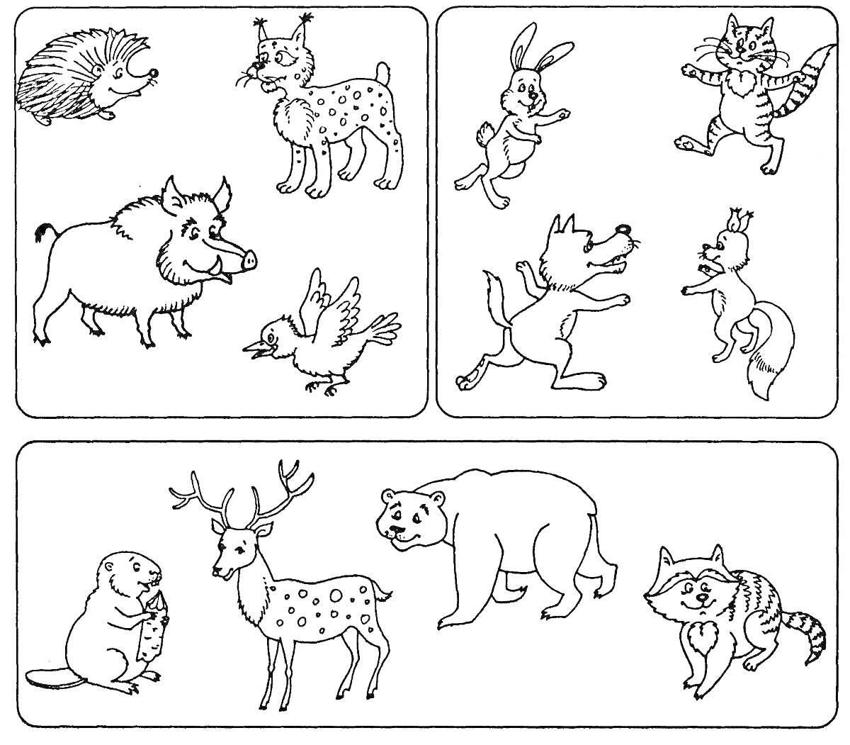 На раскраске изображено: Рысь, Кролик, Кот, Кабан, Птица, Волк, Белка, Бобр, Олень, Медведь, Дикие животные, Домашние животные, Еж, 6-7 лет