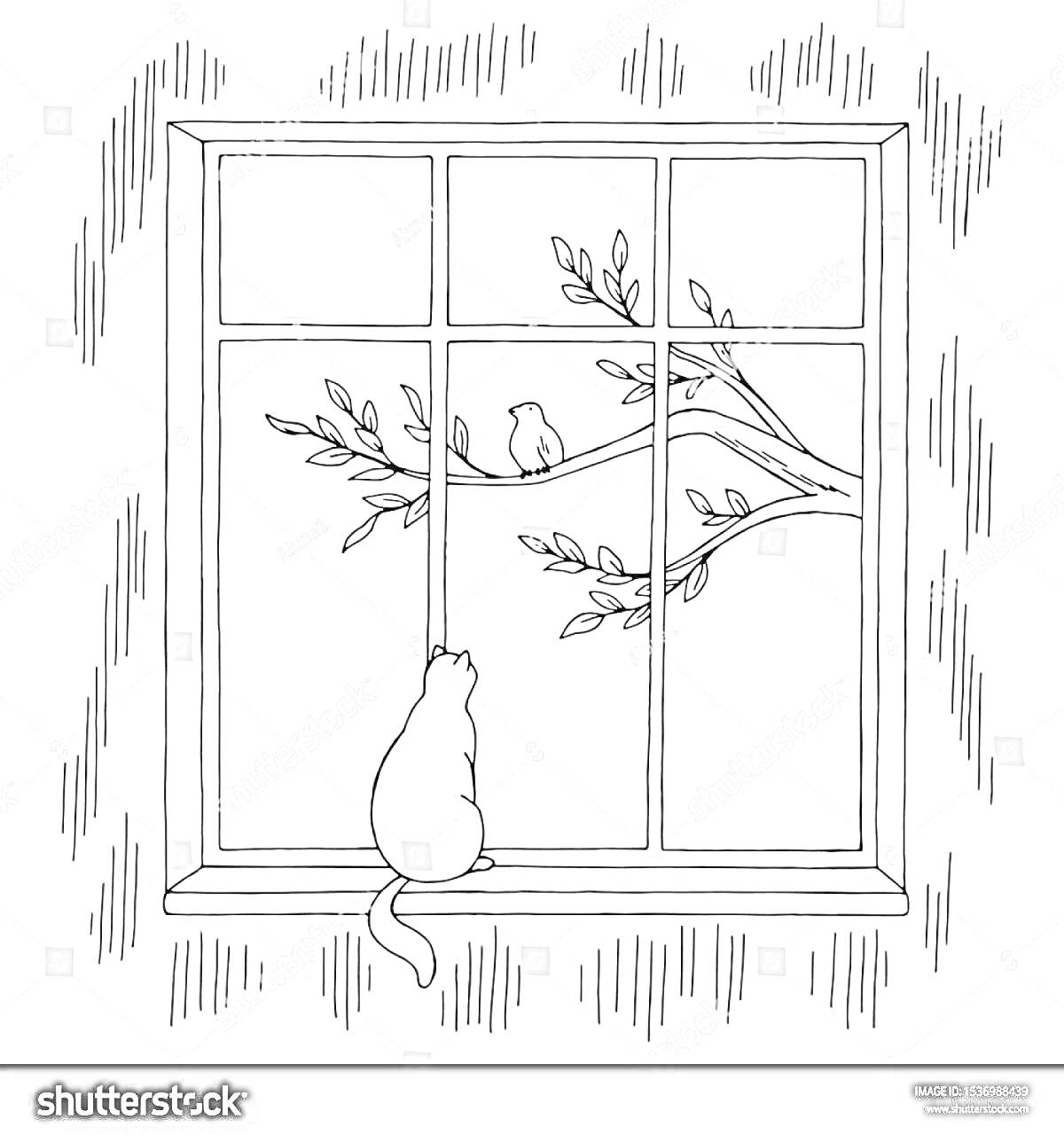 Раскраска Кошка на подоконнике перед окном, глядящая на птицу на ветке за окном