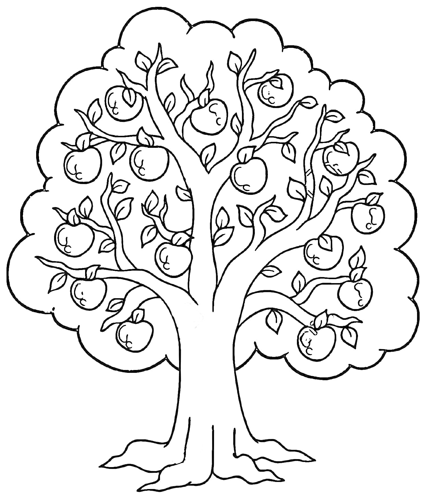 Раскраска Яблоня с яблоками и листьями