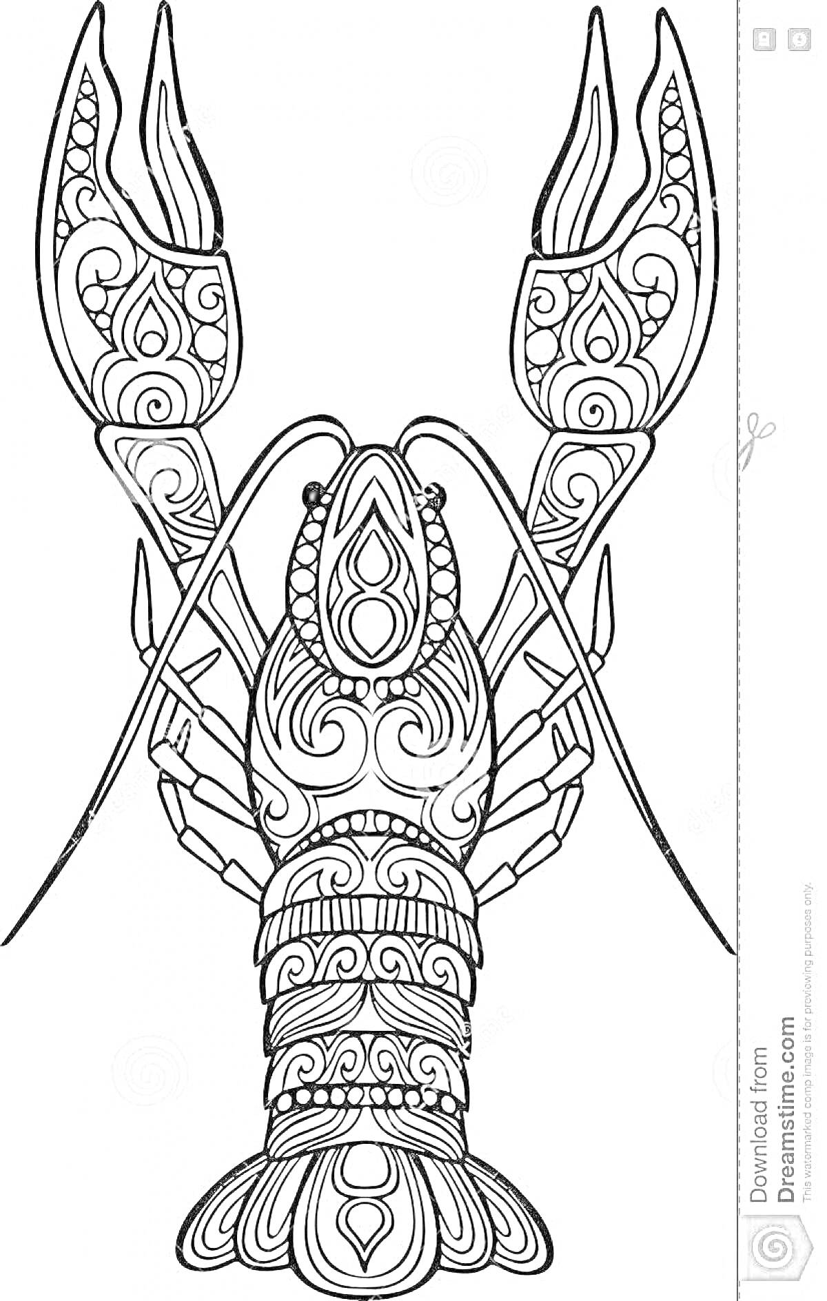 Раскраска Рак-богомол с декоративными узорами