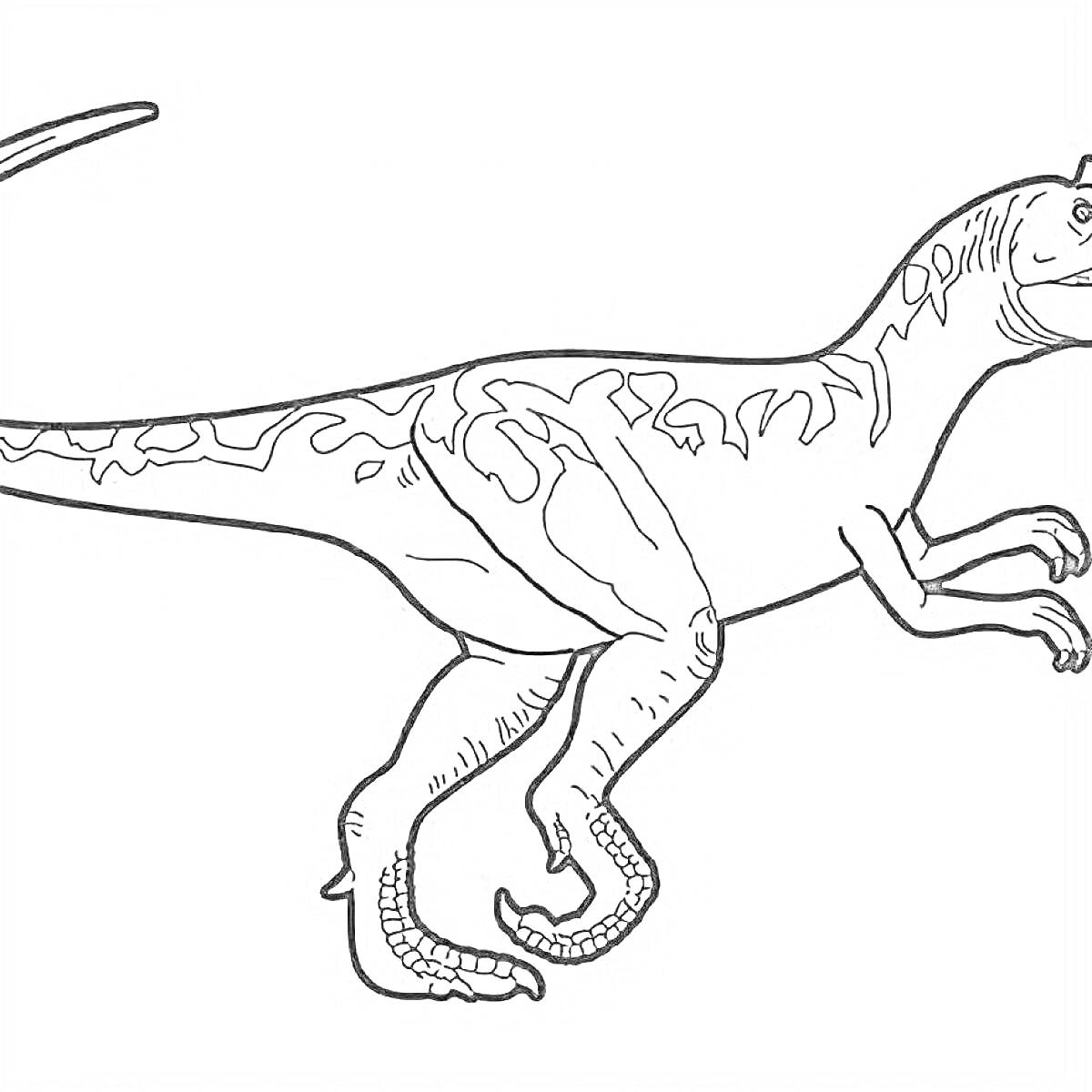 Раскраска Раскраска с аллозавром в прыжке