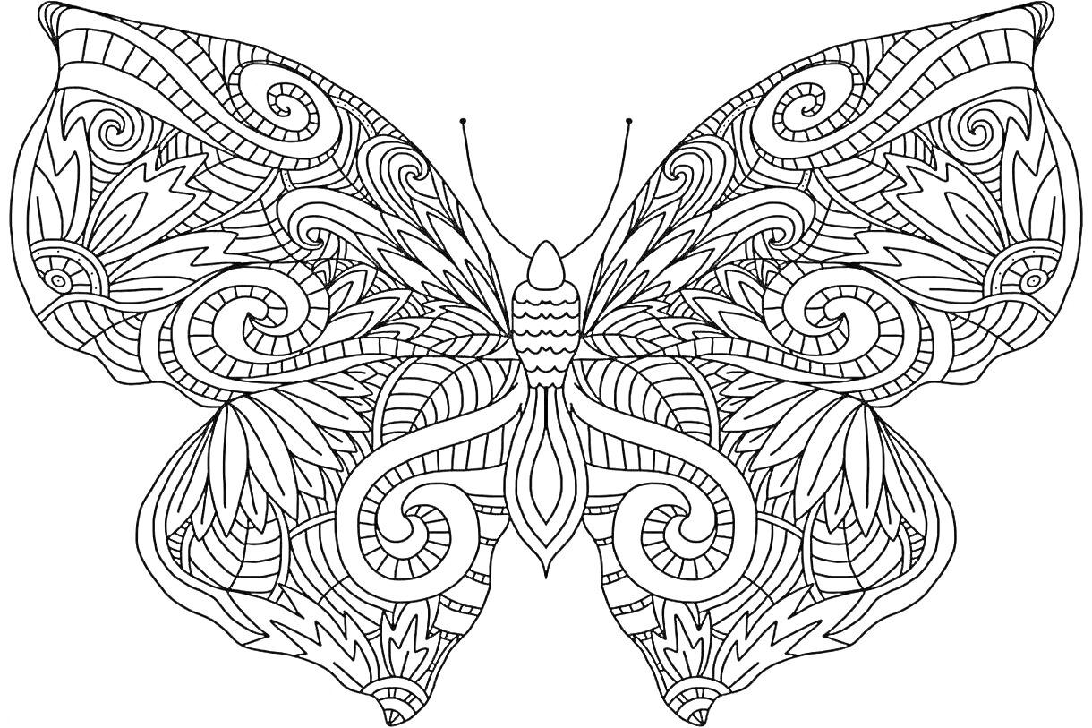 На раскраске изображено: Бабочка, Сложные узоры, Завитки