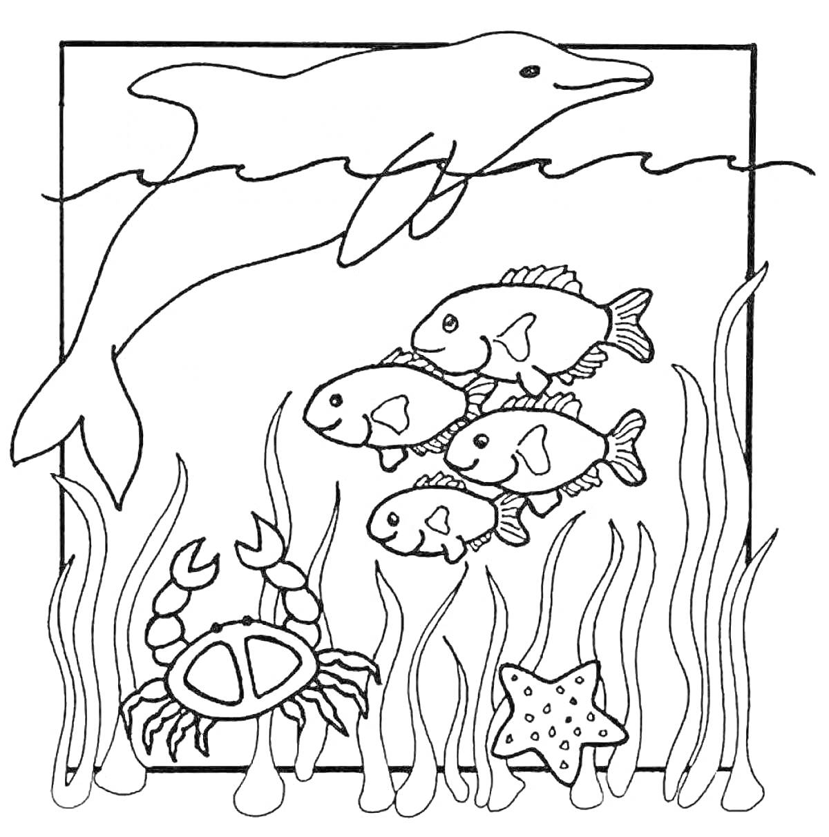 Раскраска Дельфин, рыбы и краб в водорослях