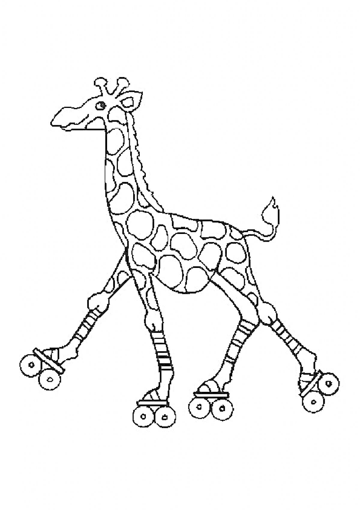 На раскраске изображено: Животные, Катание, Игра, Для детей, Жирафы, Забавы, Контурные рисунки, Роликовые коньки