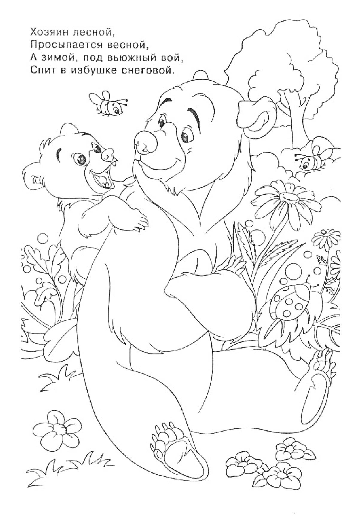 Раскраска Медведь и медвежонок среди цветов и растительности, с текстом загадки 