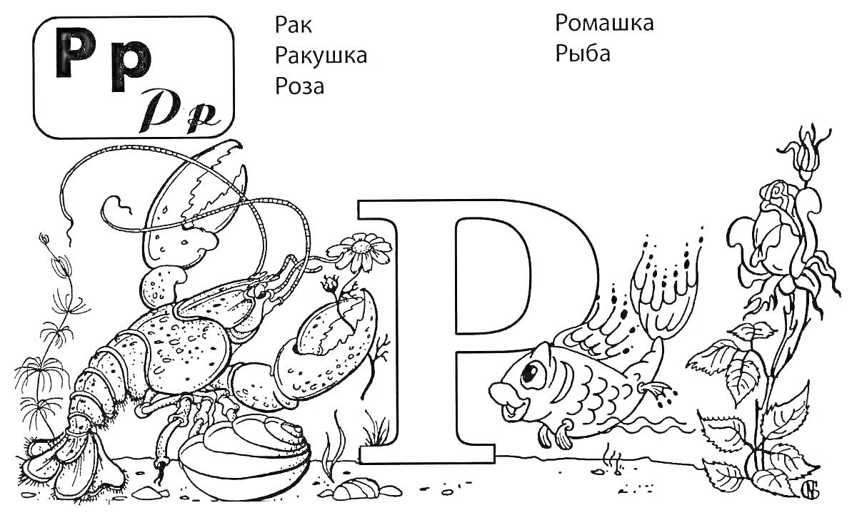 На раскраске изображено: Рак, Ракушка, Ромашка, Рыба, Обучение