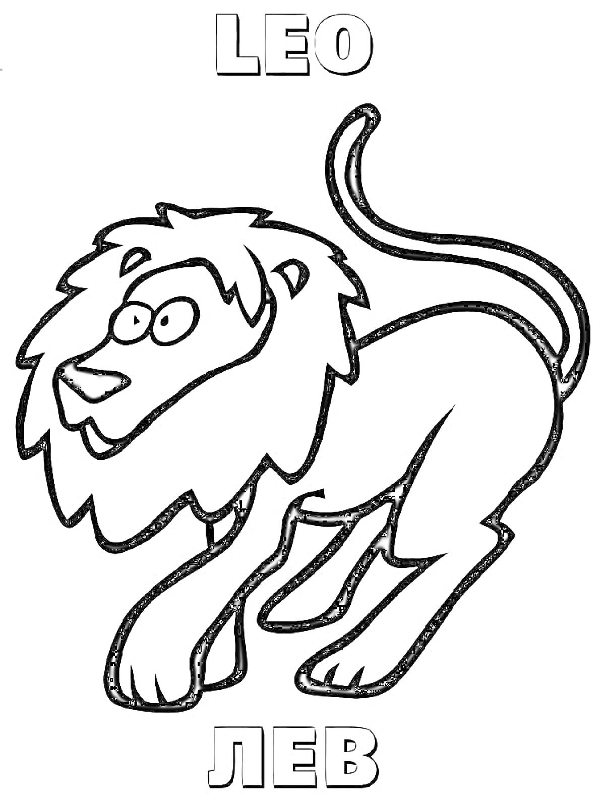 Раскраска Лев со всеми элементами: название на английском (LEO), изображение льва, название на русском (ЛЕВ)