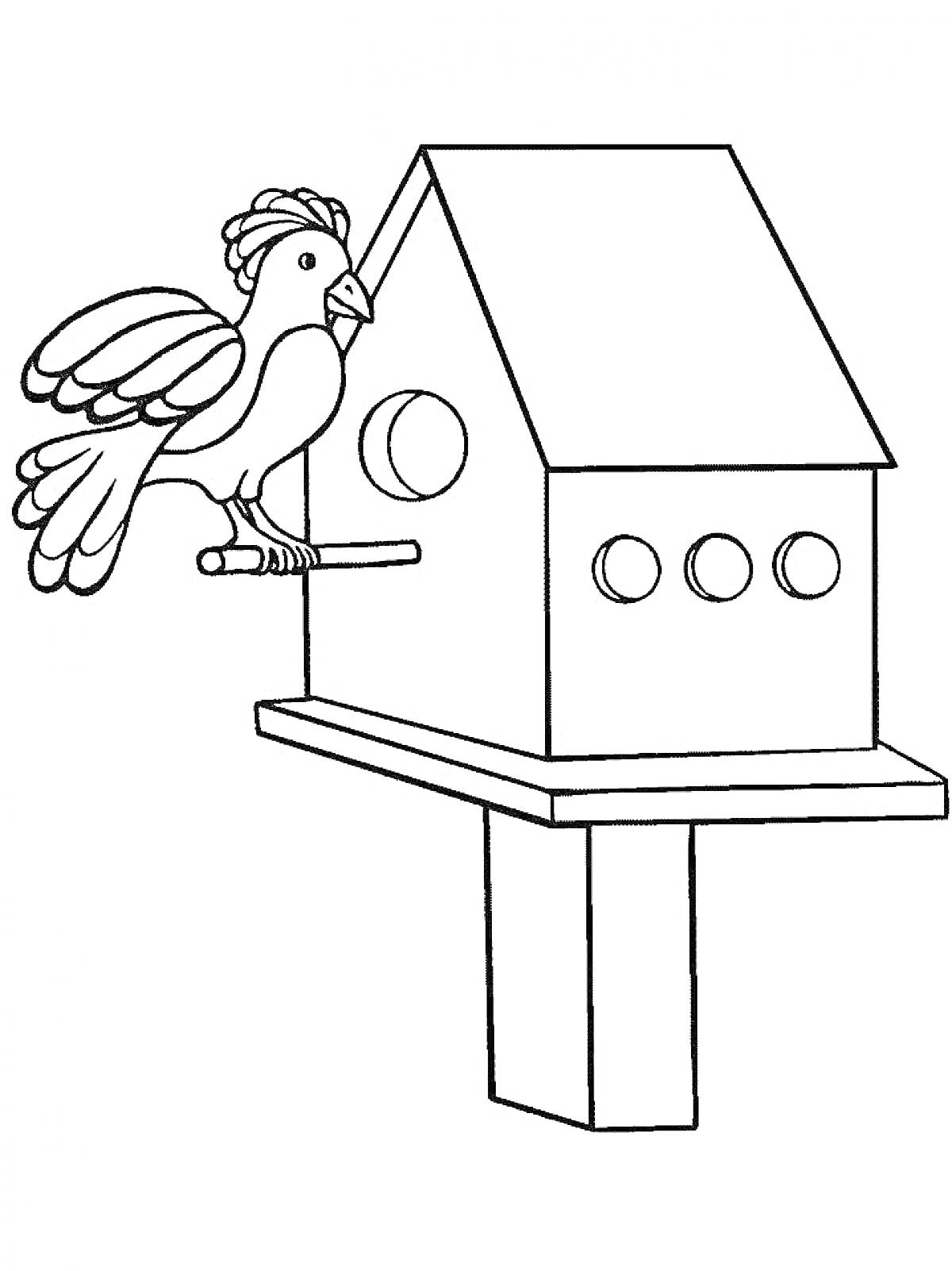 Раскраска Кормушка для птиц с птицей, сидящей на насесте