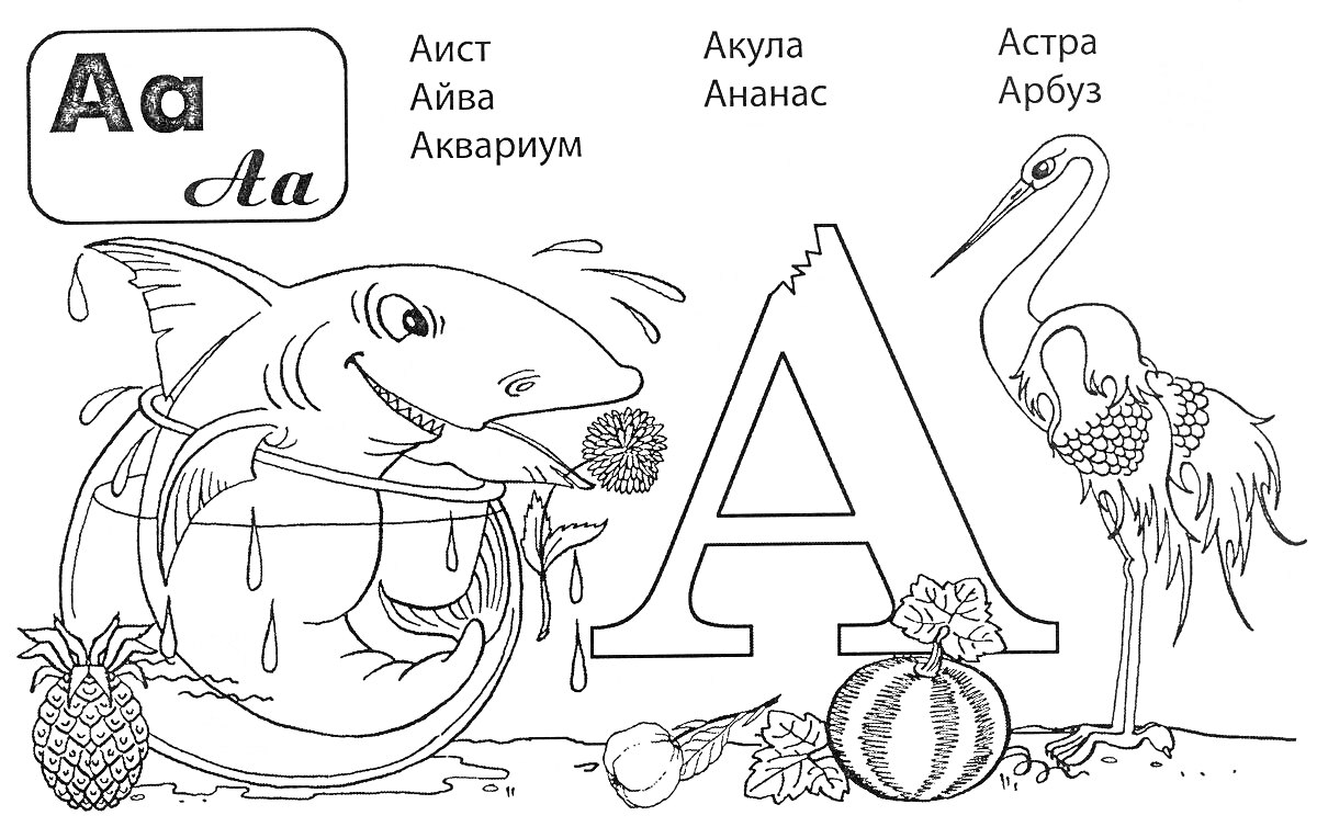Буква А с изображениями акулы, аиста, ананаса, айвы, аквариума, арбуза и астры
