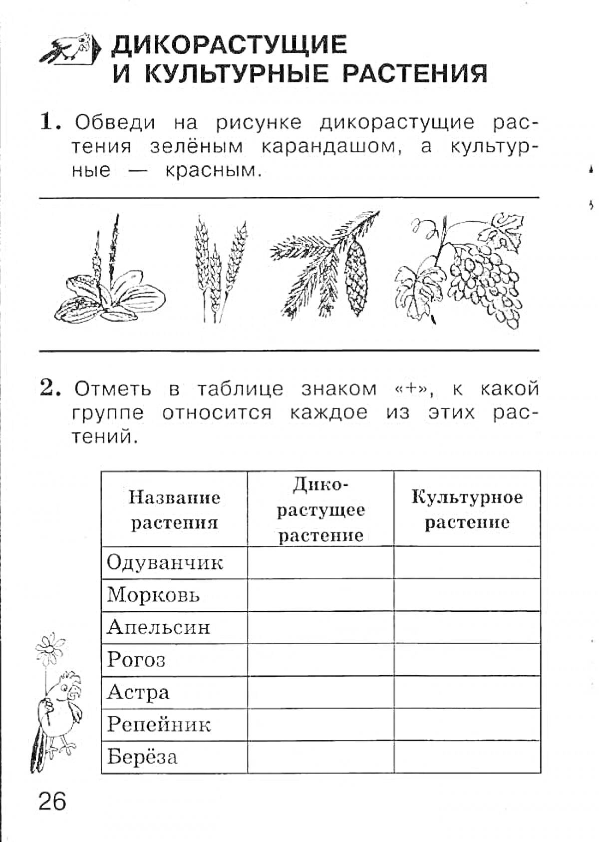 Раскраска дикорастущие и культурные растения, одуванчик, пшеница, полынь, виноград, таблица для отметки