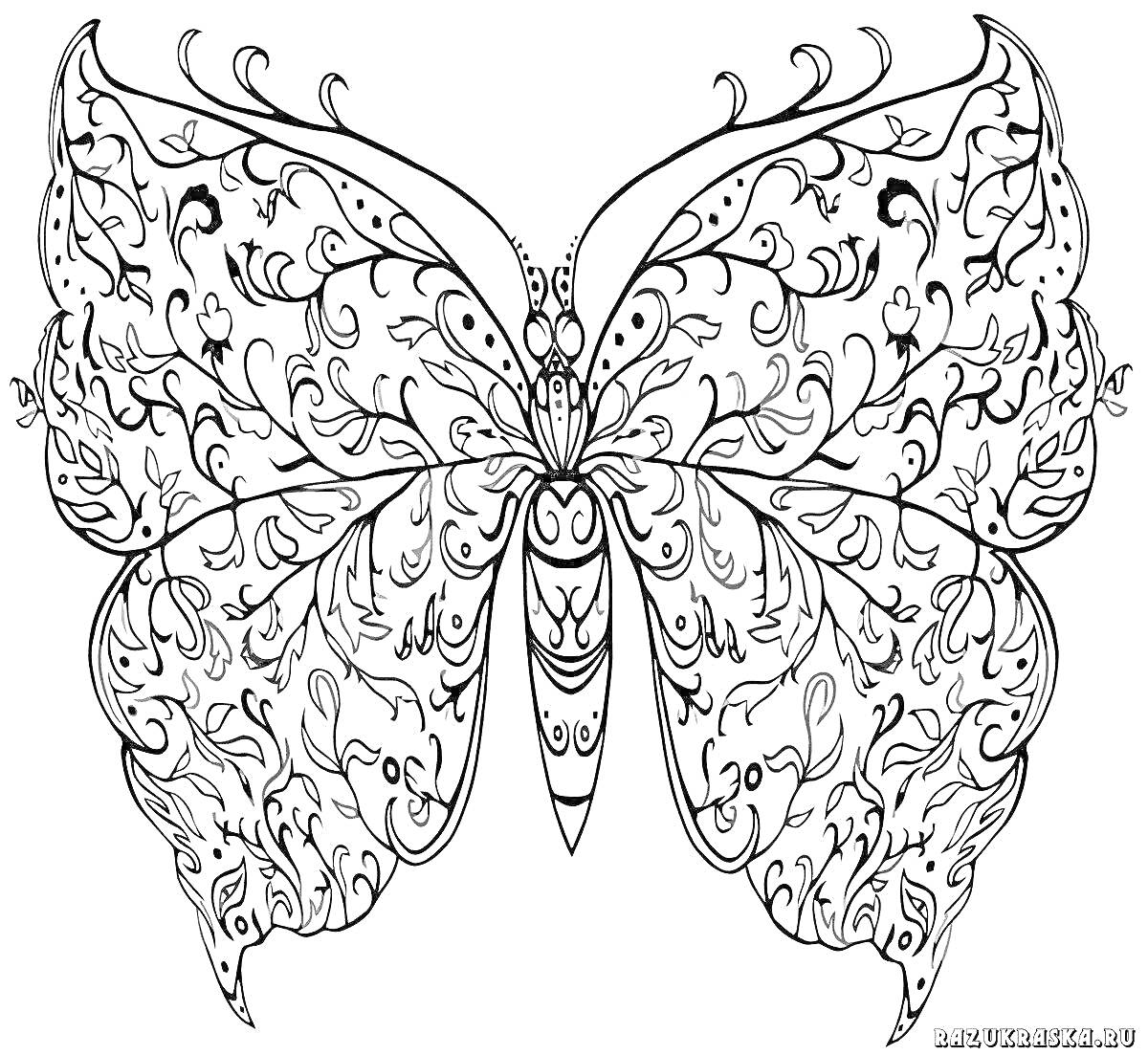 Раскраска Бабочка с декоративными крыльями