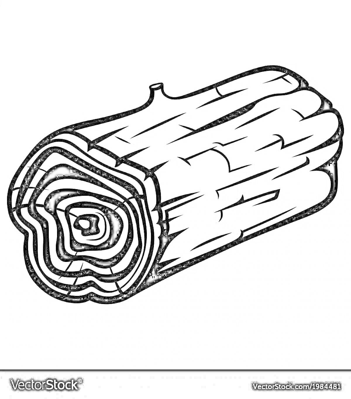 Раскраска с изображением одного бревна с видимыми древесными кольцами и текстурой коры
