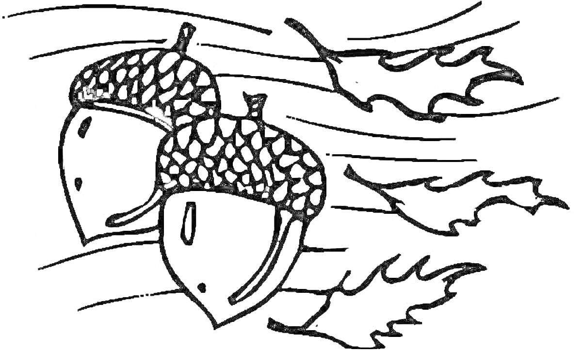 Раскраска Два желудя и падающие листья