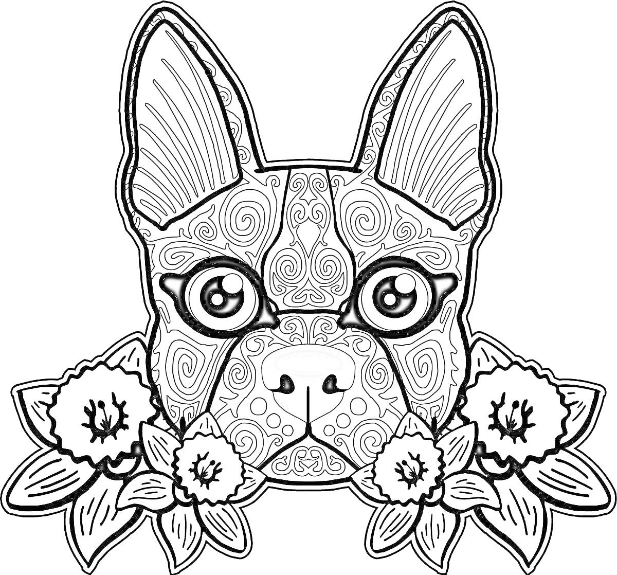 Раскраска Собака с большими ушами и цветами, декоративный орнамент