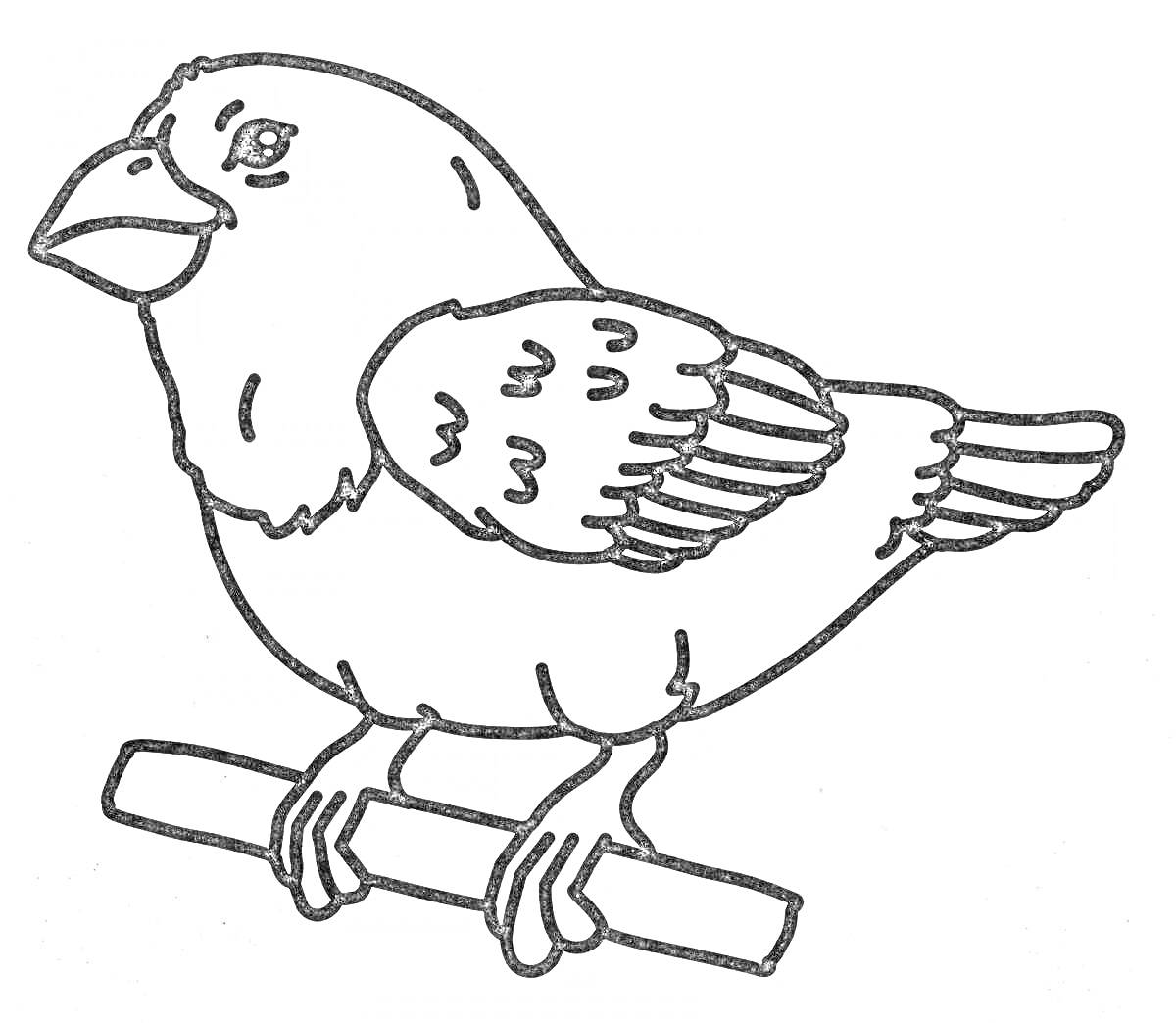 На раскраске изображено: Соловей, Птица, Ветка, Для детей, Контурные рисунки