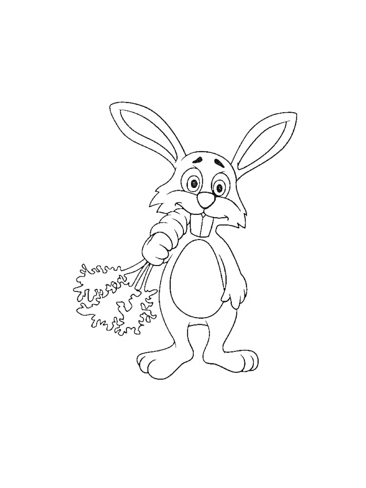 На раскраске изображено: Заяц, Дети 3-4 года, Животные, Ушастый, Овощи