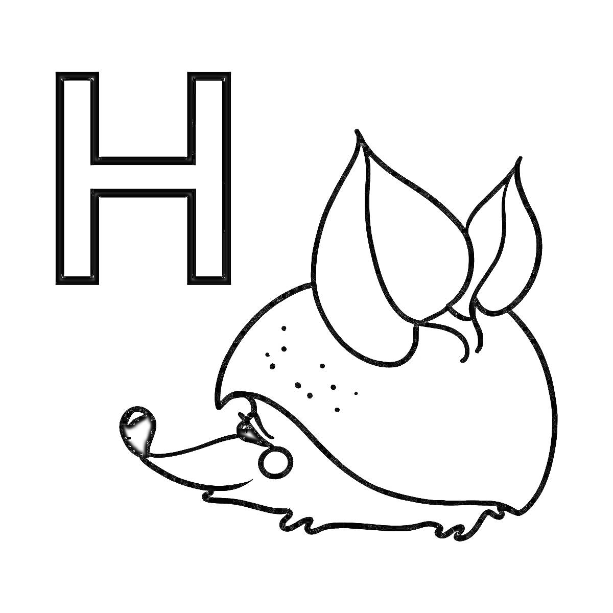 Раскраска Буква Н и ёж с листьями на голове