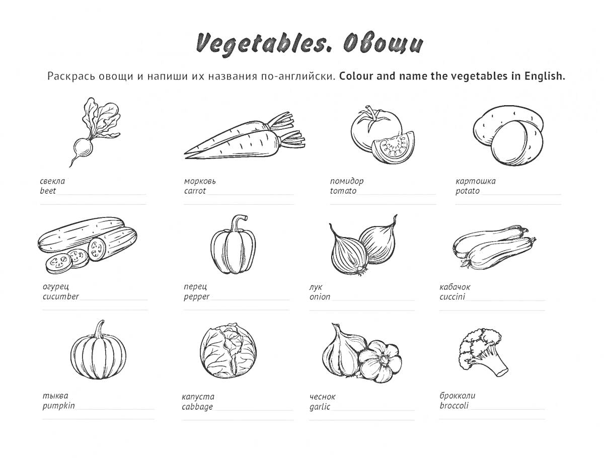 Раскраска овощи - морковь, лук-репка, огурец, картофель, помидор, лук, лук-порей, тыква, кабачок, чеснок, грибы