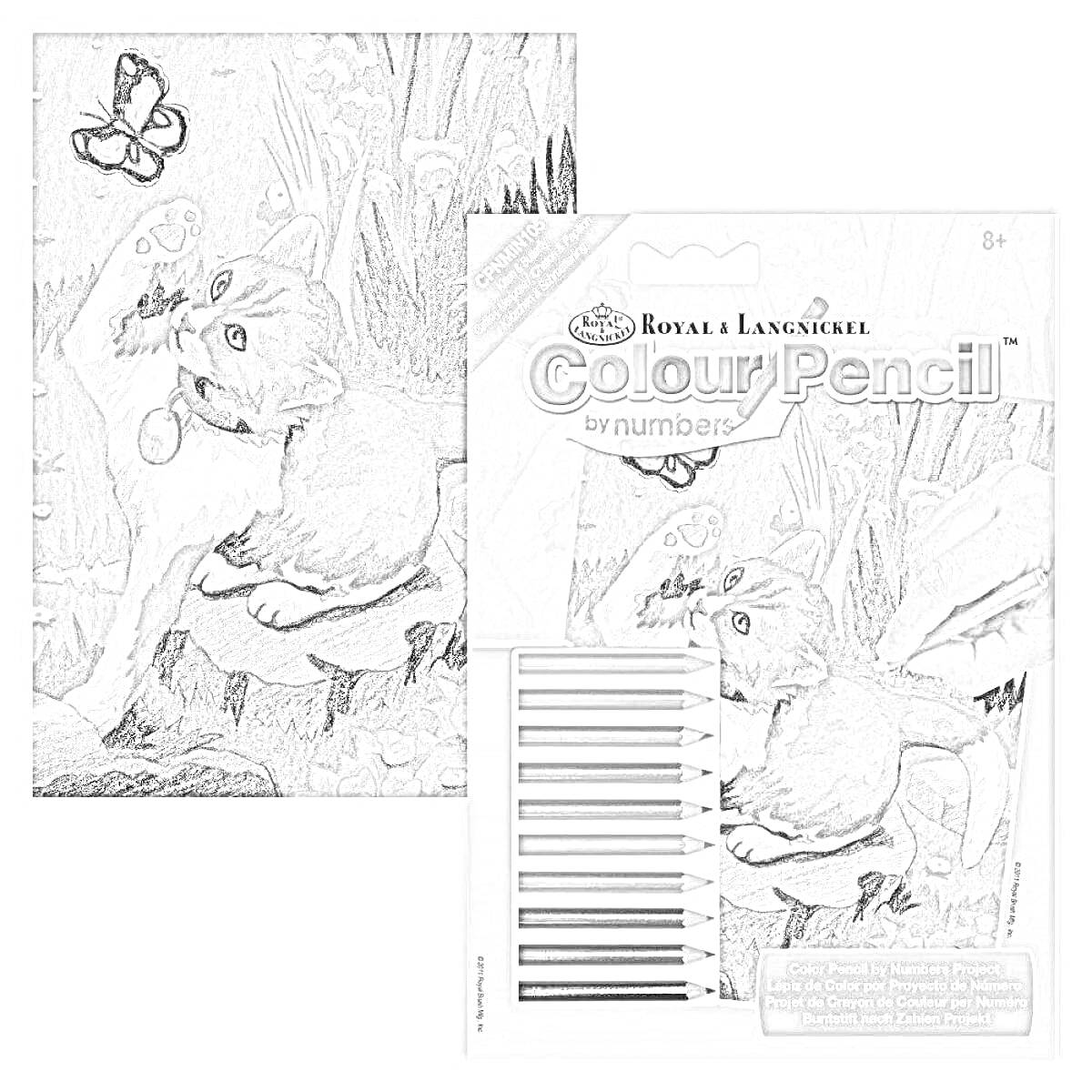 Раскраска Набор для раскрашивания по номерам карандашами: котенок, играющий с бабочкой, на фоне природы