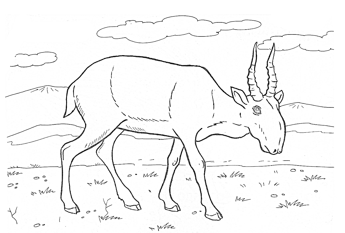 Раскраска Антилопа на фоне саванны с деревьями и облаками