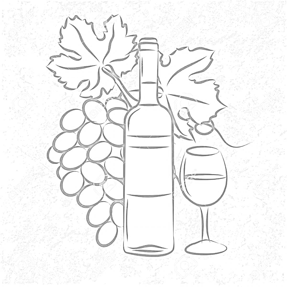 На раскраске изображено: Бутылка вина, Бокал, Гроздь винограда, Виноградные листья