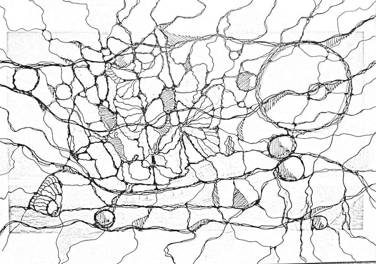 Раскраска Нейрографика - пересекающиеся линии и круглые элементы