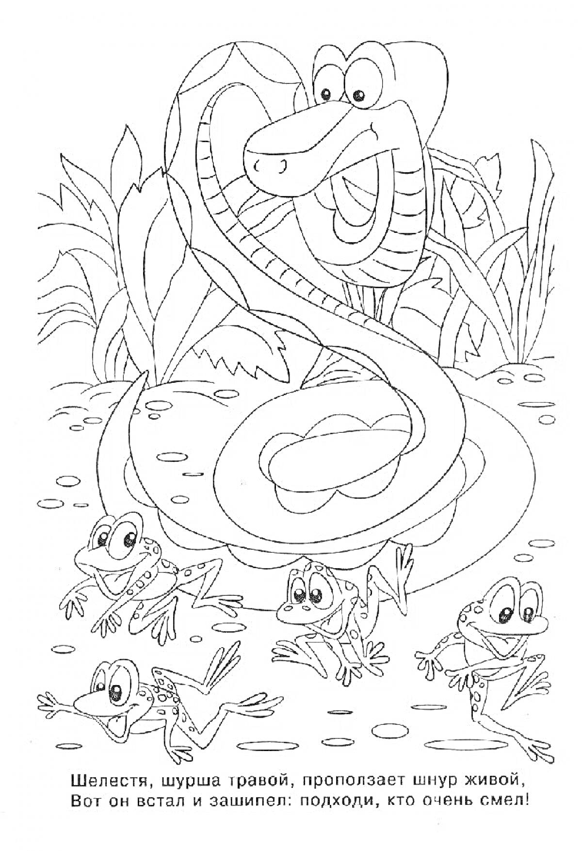 Раскраска Змея и лягушки около пруда