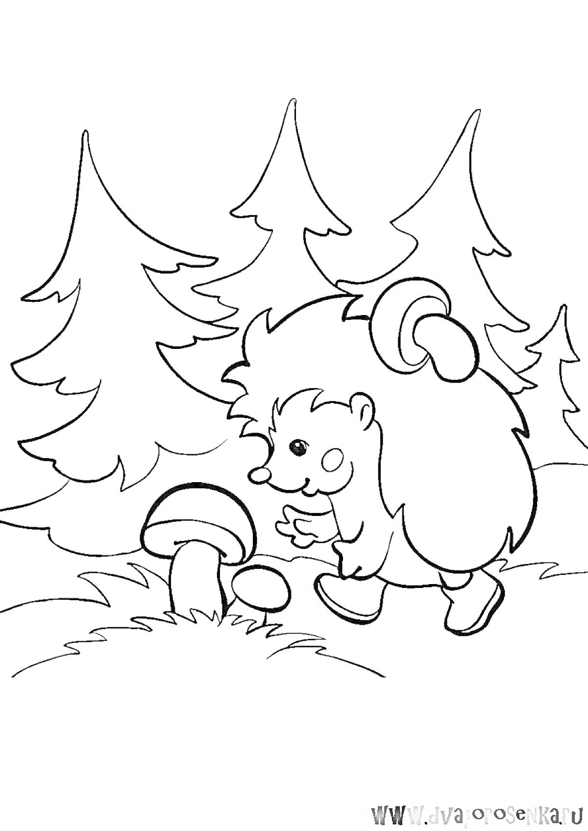 Раскраска Ёжик с грибом на лесной поляне у ёлок