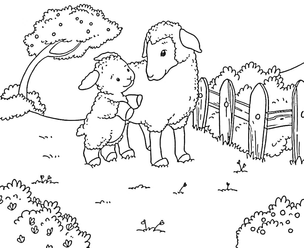 Раскраска Ягненок с овцой возле забора на лугу