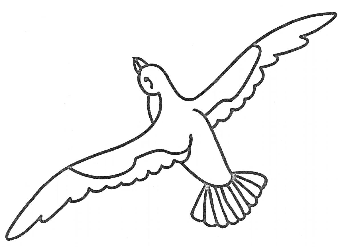 На раскраске изображено: Птица, Полет