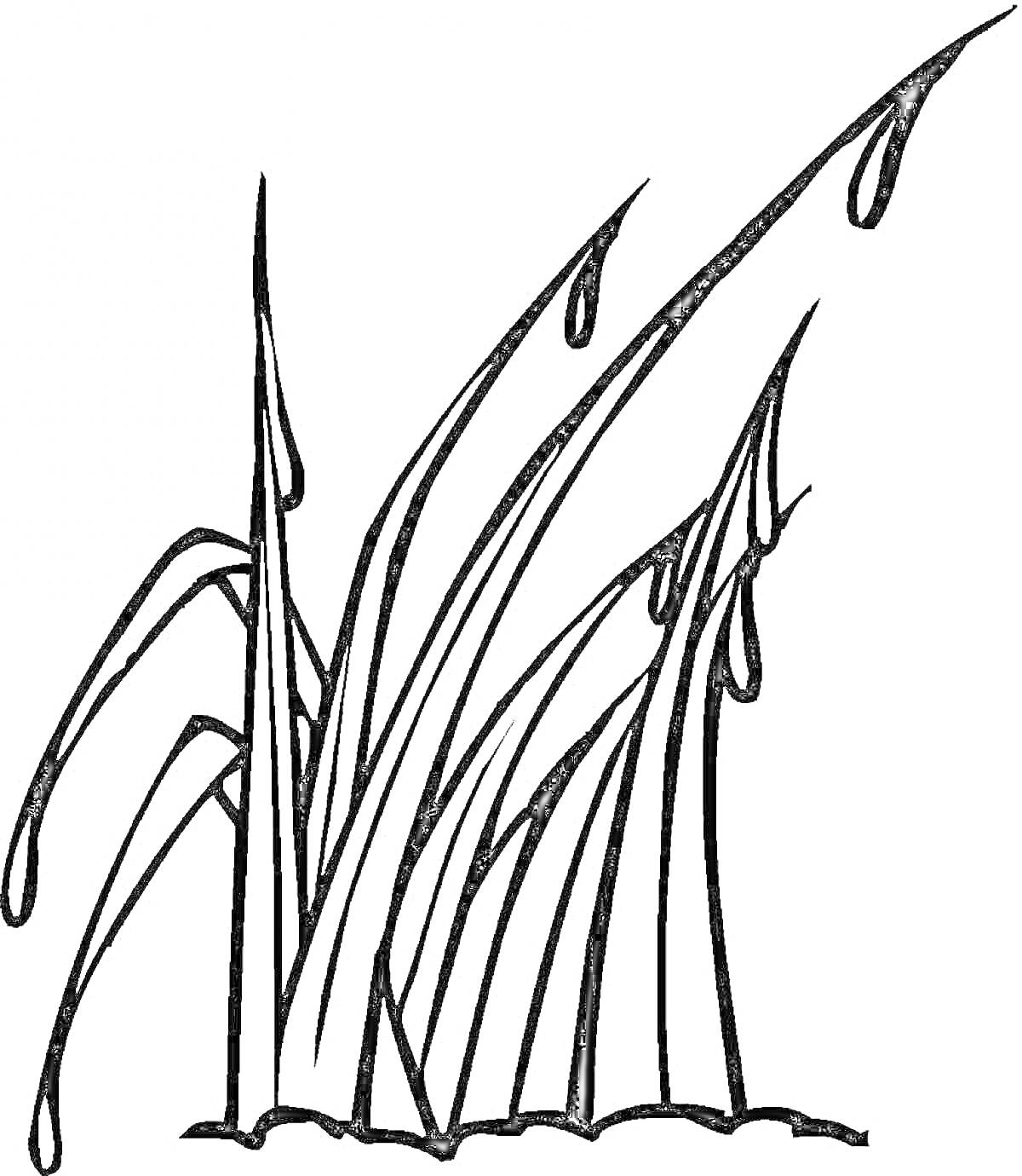 На раскраске изображено: Трава, Листья, Природа, Капли