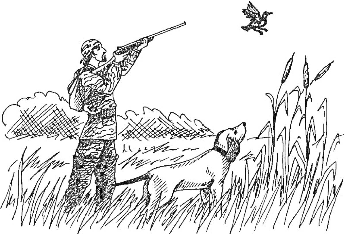 Охотник с ружьём, целящийся в птицу, и собака в высокой траве