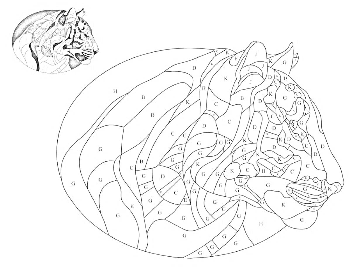 Раскраска Раскраска по номерам с изображением тигра