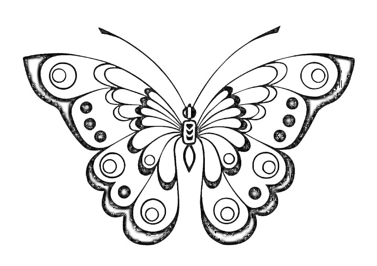 Раскраска бабочка с узорными крыльями и антеннами