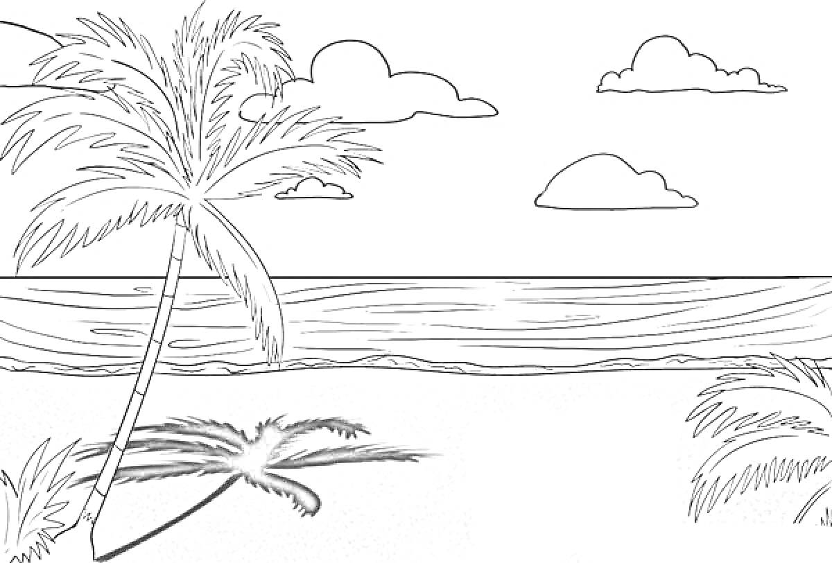 Раскраска Пальмы на берегу океана с облаками